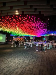 Chamaeleon's at Your Party